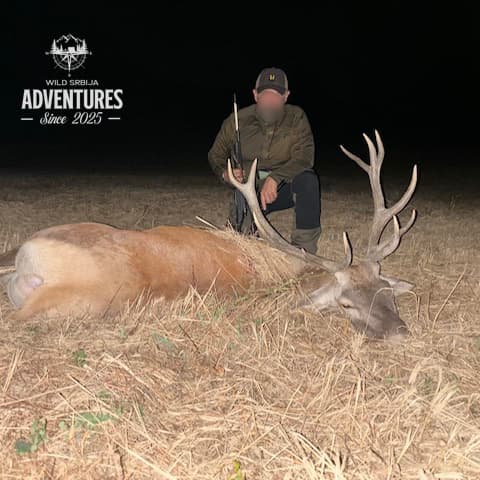 Selektivni lov Jelenske divljači i Divljih Svinja - Madjarska 2026/27 3