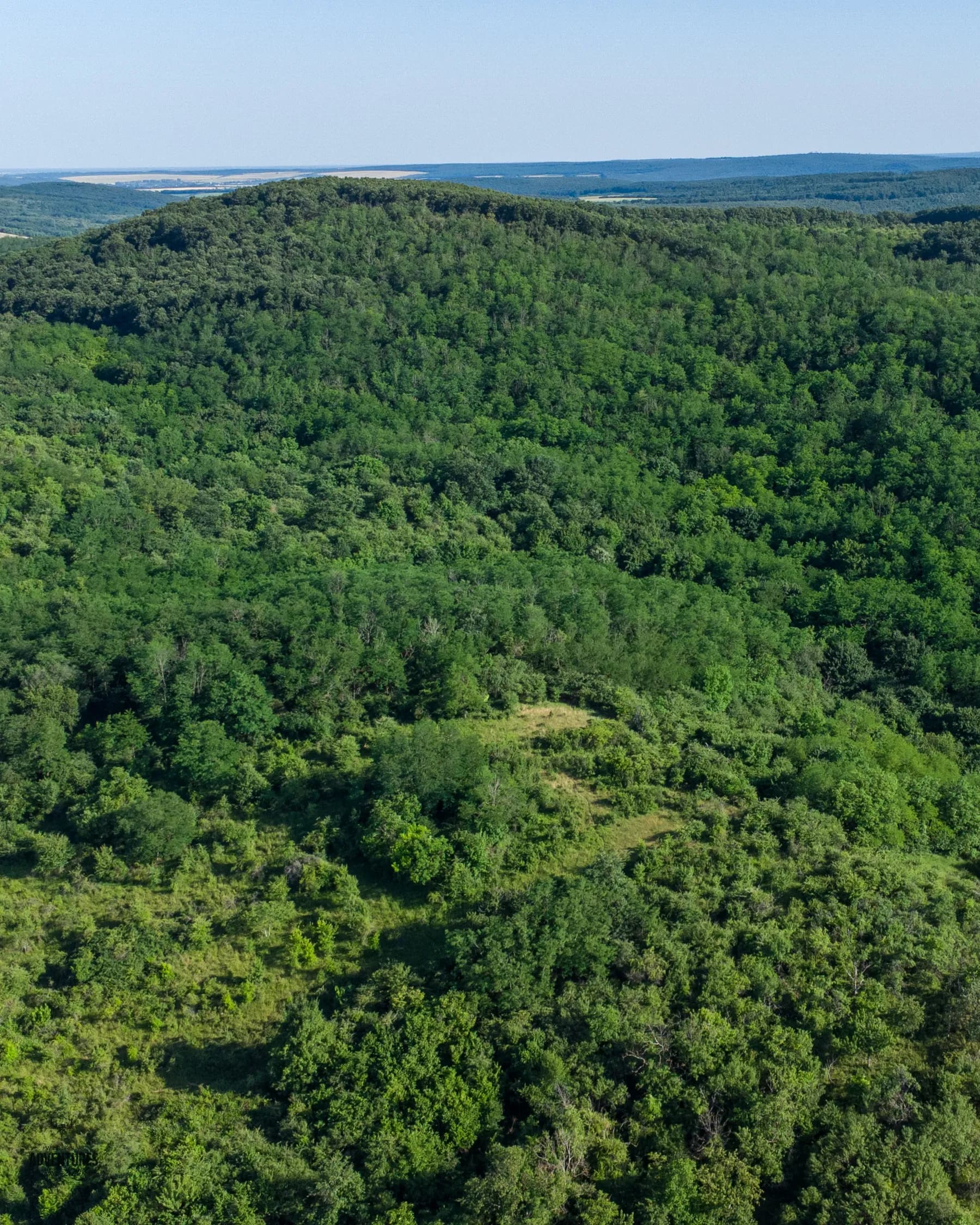 Selektivni Lov Jelenske i Crne divljači - Madjarska 6