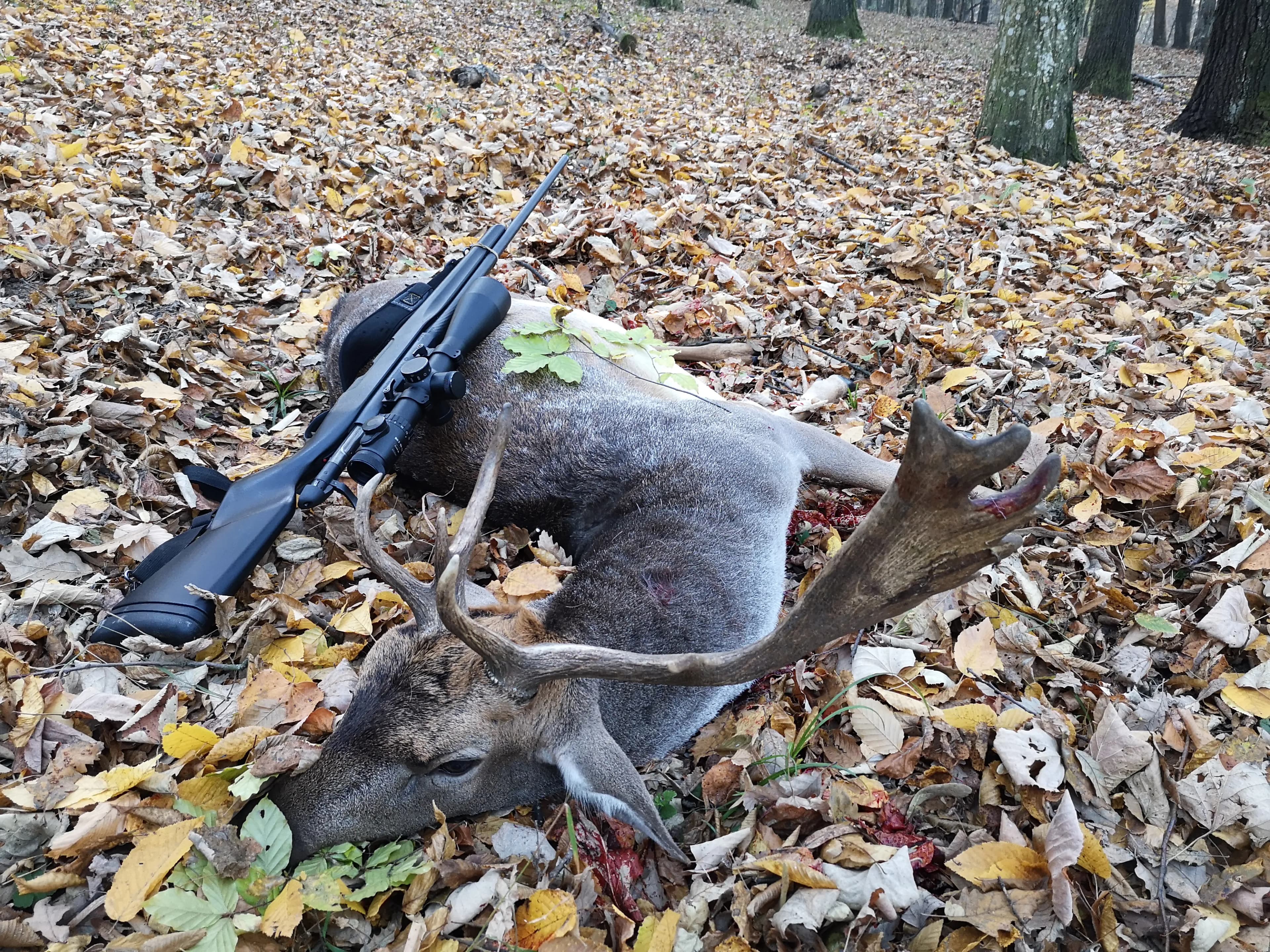 Lopatar do 2kg + 2 Košute - selektivni lov 6