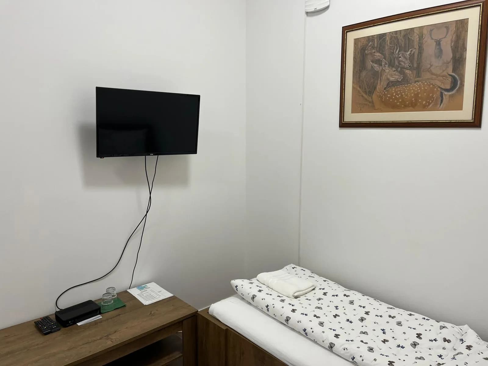 Selektivni lov Netrofejne Jelenske divljači - 8 Odstrela 4