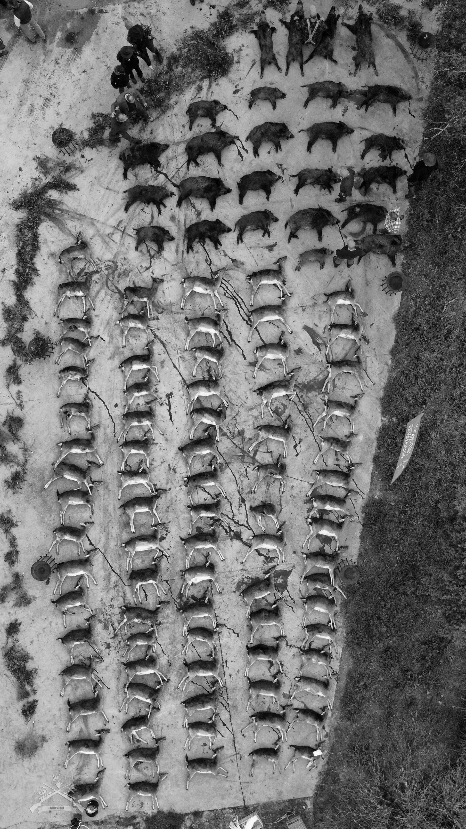 Monteria - Španija Februar 2026 06 - 09.02.2026 3