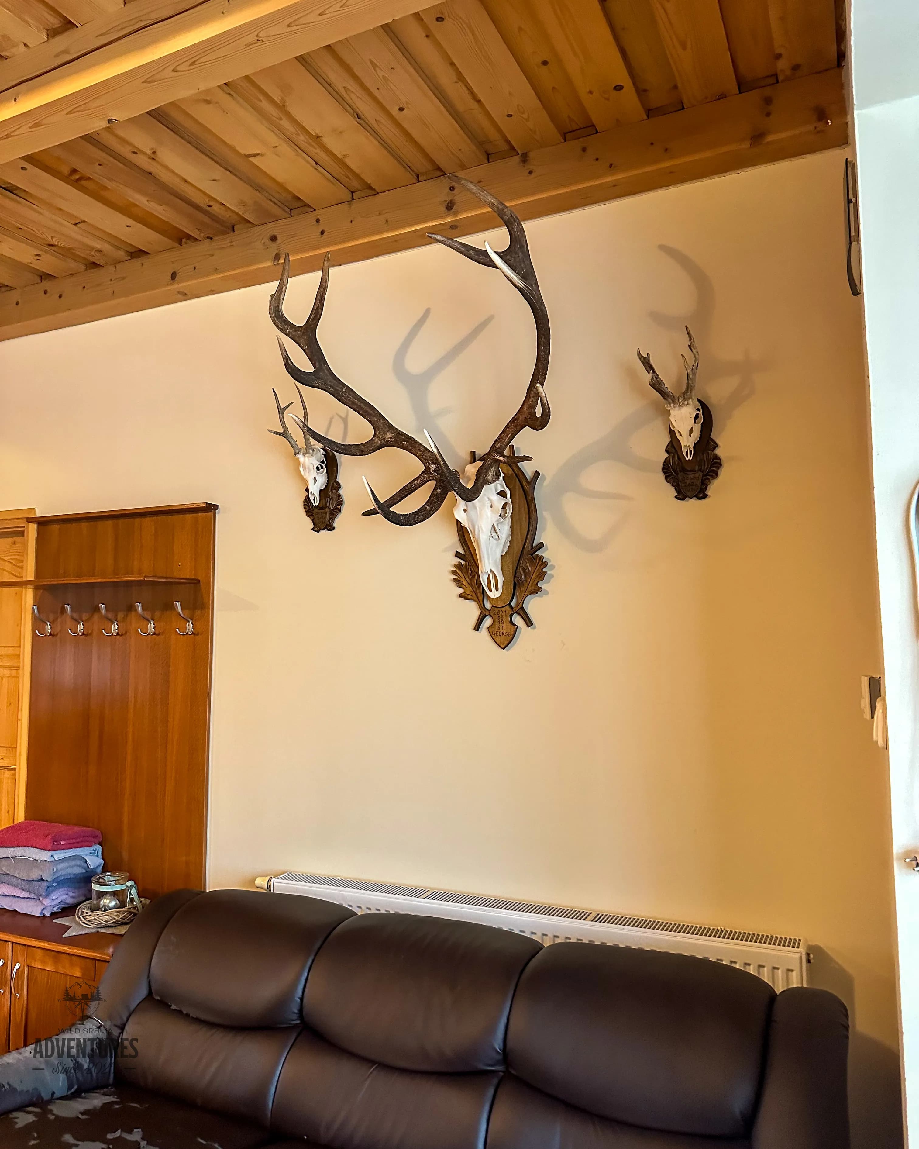 Pogonski Lov na Divlje Svinje, Košute i Telad - Madjarska 10-11.01.2026. 6