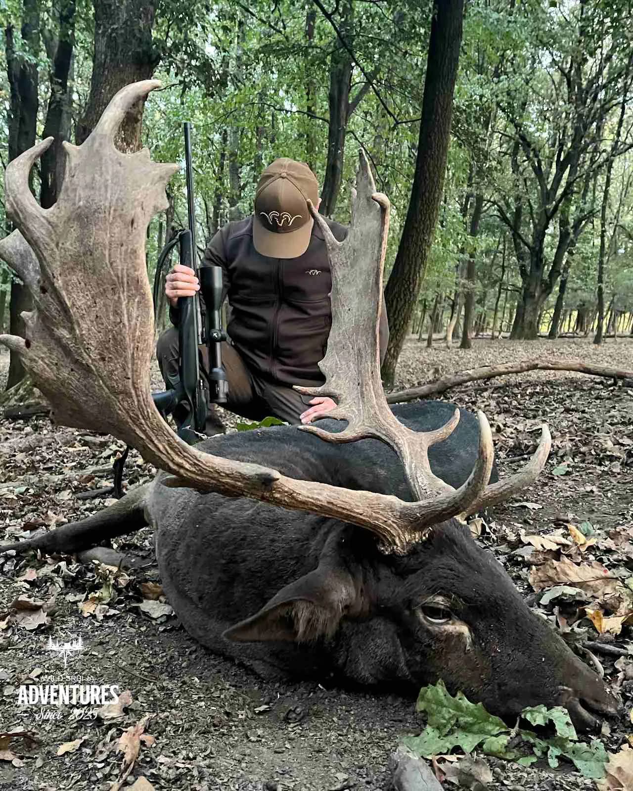 Lov jelena Lopatara do 3kg ALL Inclusive - Madjarska 2025