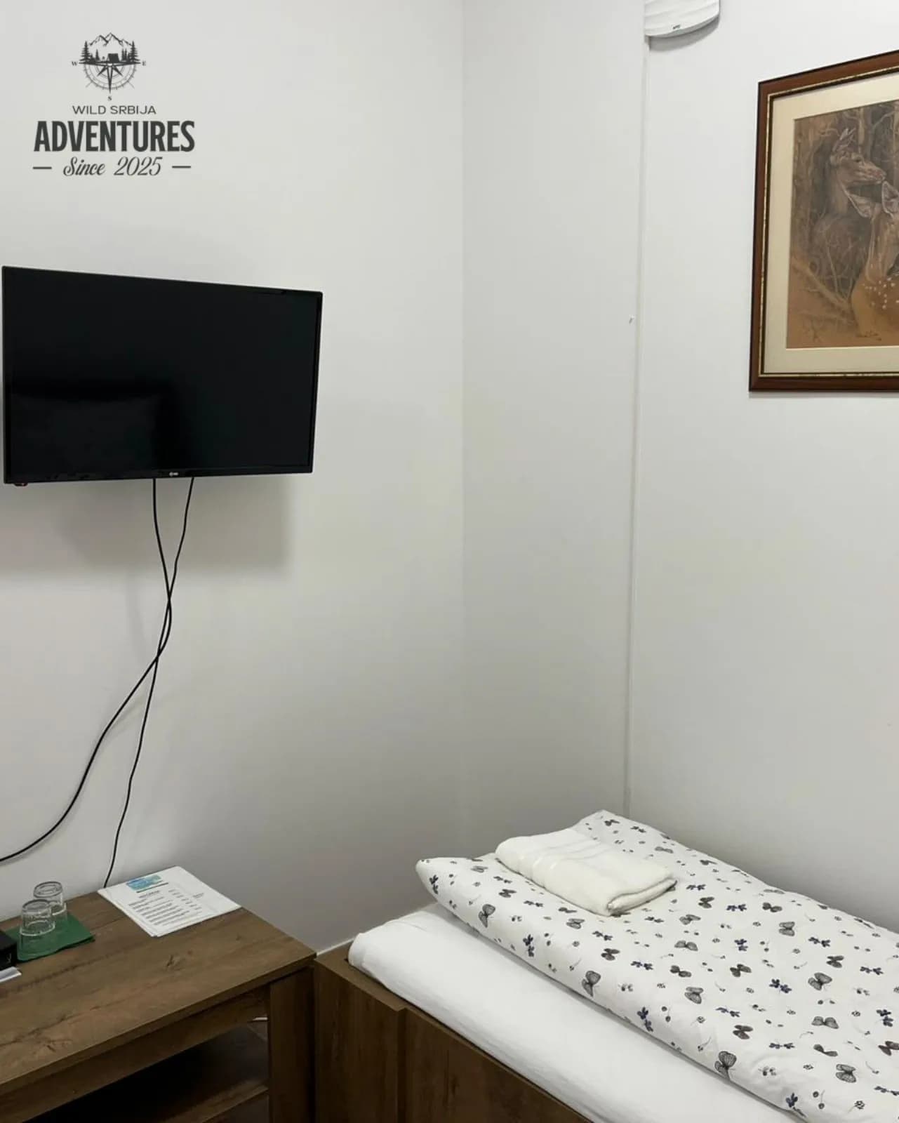 Lov jelena Lopatara do 3kg ALL Inclusive - Madjarska 2025 5