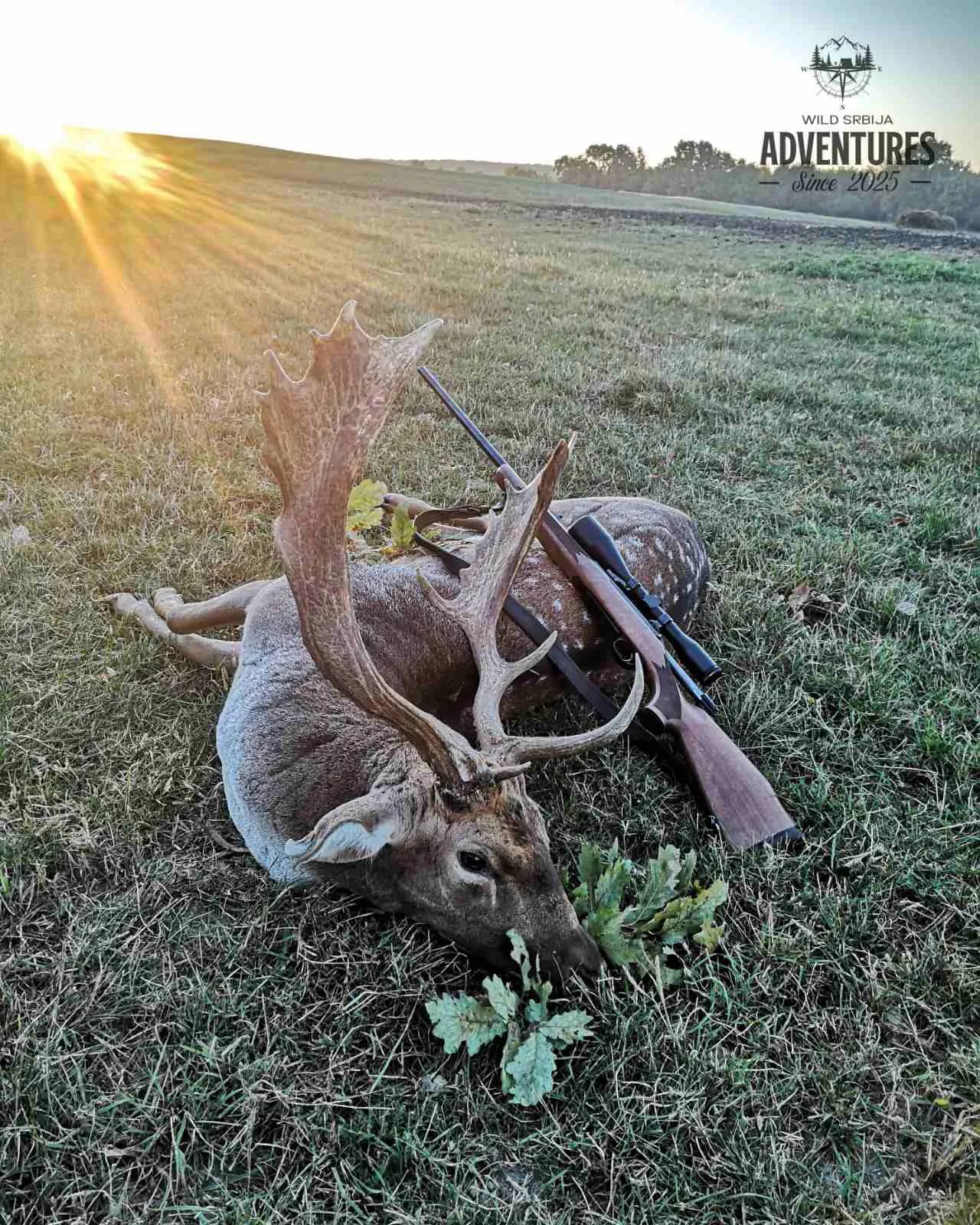 Lov jelena Lopatara do 3kg ALL Inclusive - Madjarska 2025 8