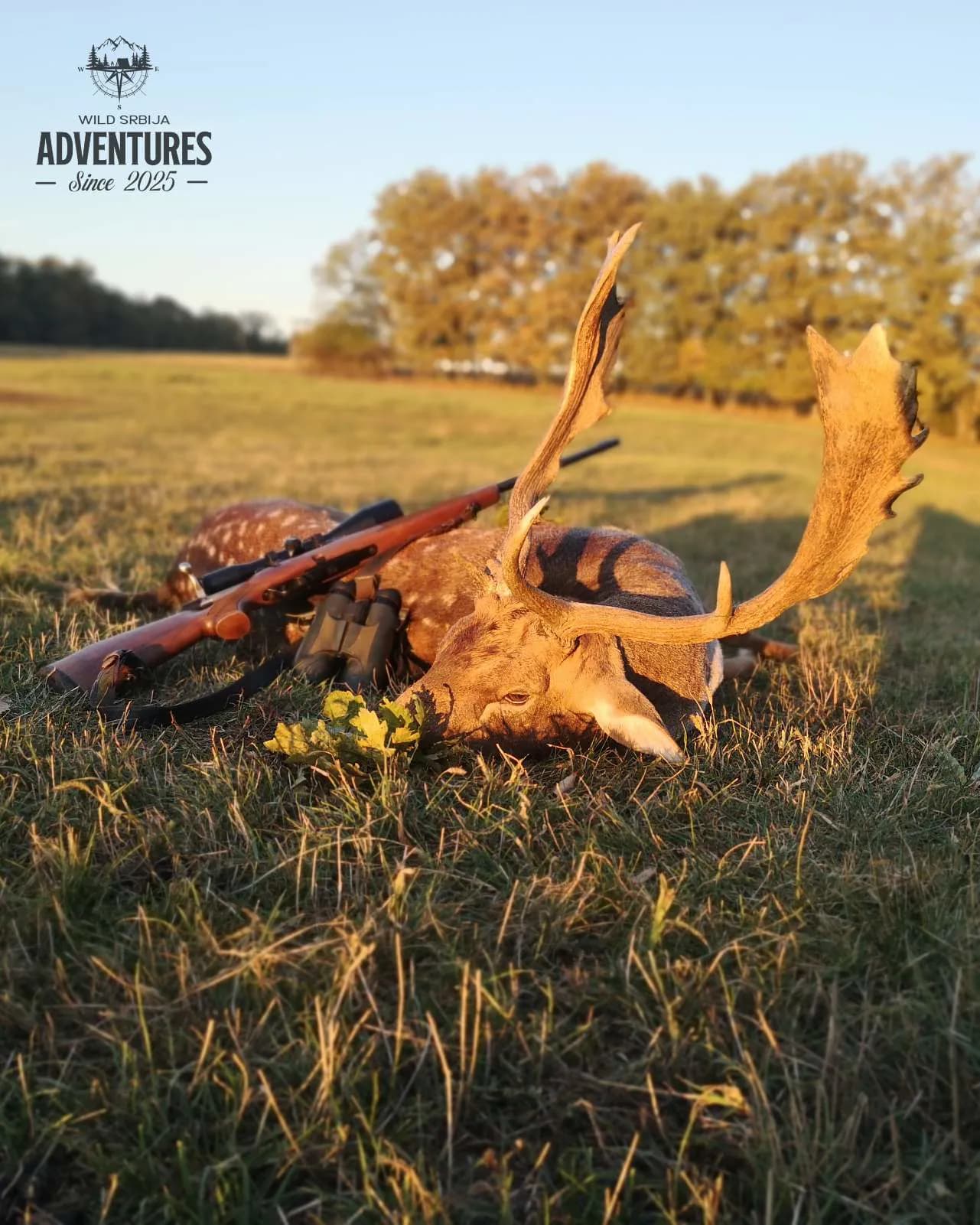 Lov jelena Lopatara do 3kg ALL Inclusive - Madjarska 2025 9