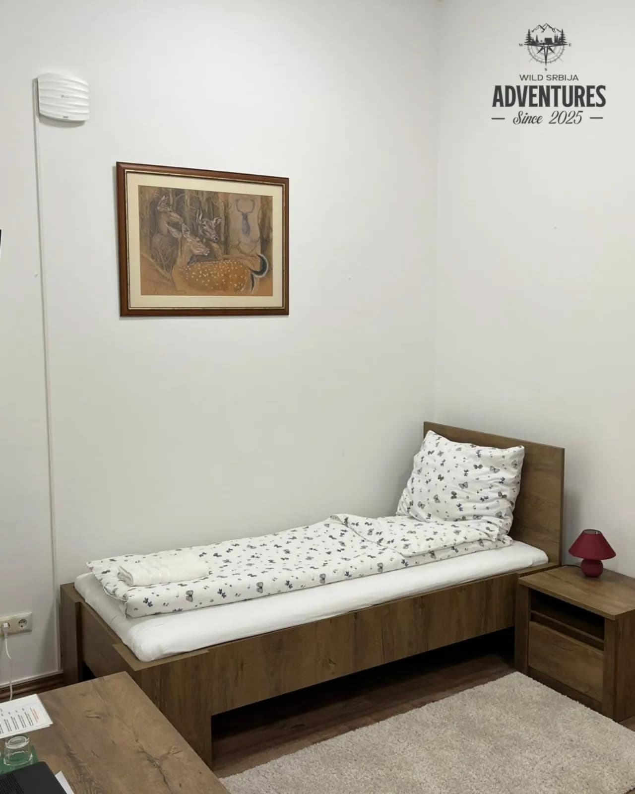 Lov Muflona - Madjarska 2025 4