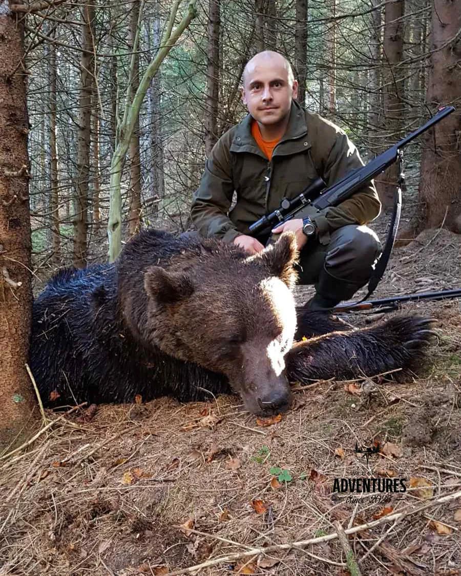 Lov Medveda čekanjem sa toplih čeka - nonexportable trophy