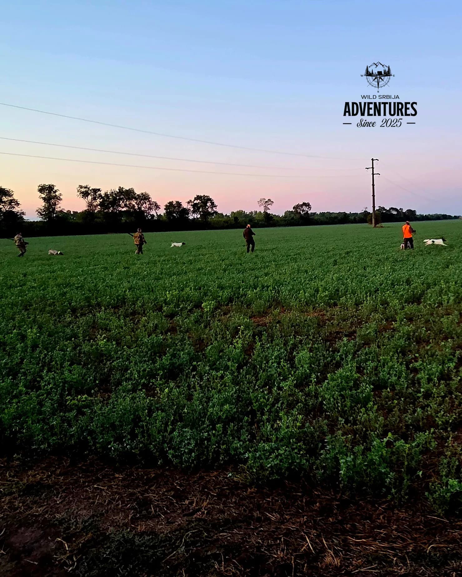 Letnji Lov - Prepelica i Gugutka 2026 All Inclusive 4