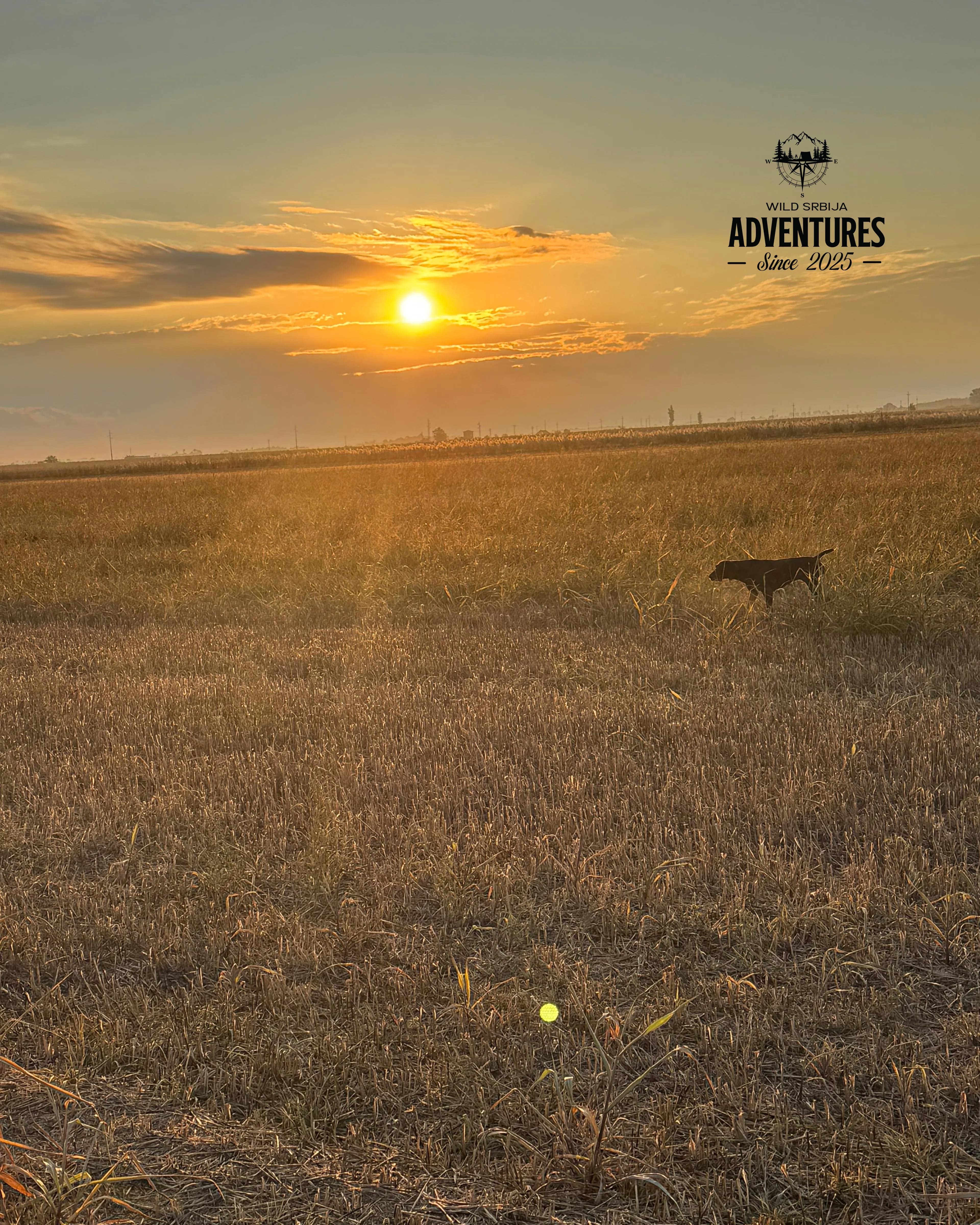 Letnji Lov - Prepelica i Gugutka 2026 All Inclusive 5