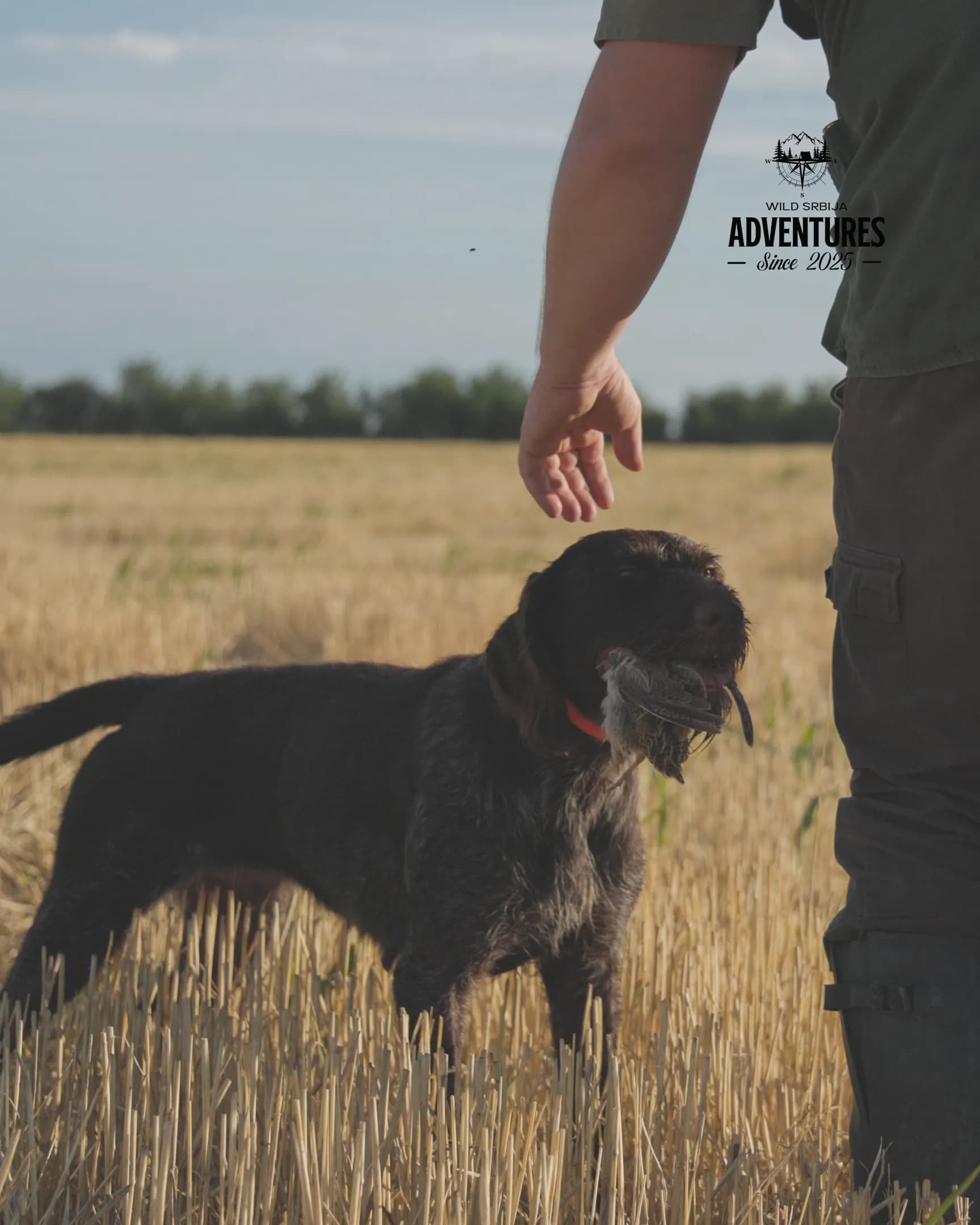 Letnji Lov - Prepelica i Gugutka 2026 All Inclusive 12