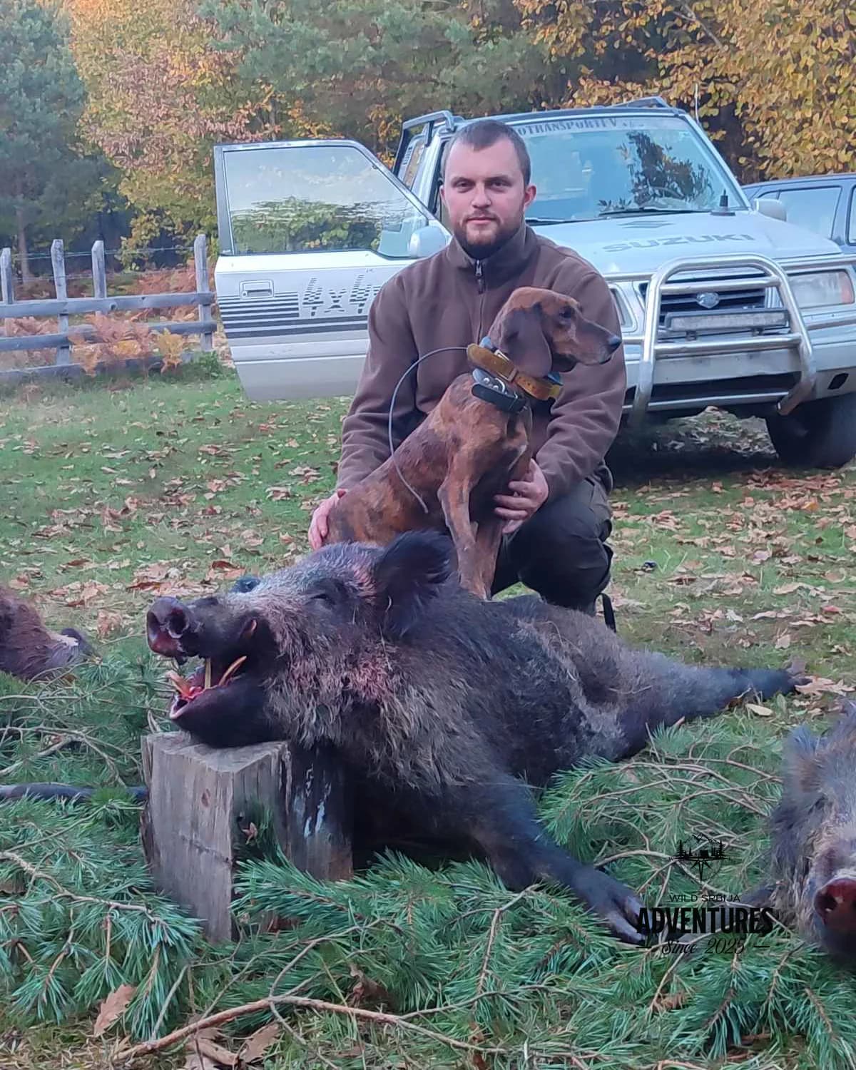 Planinski Lov Divljih Svinja Pogonom sa psima 2