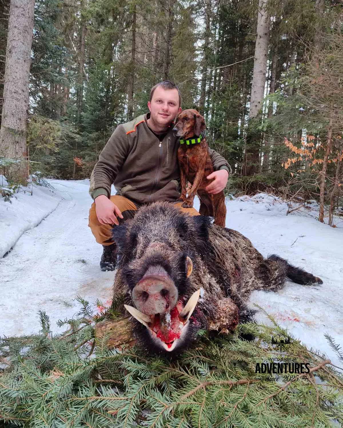 Planinski Lov Divljih Svinja Pogonom sa psima 3