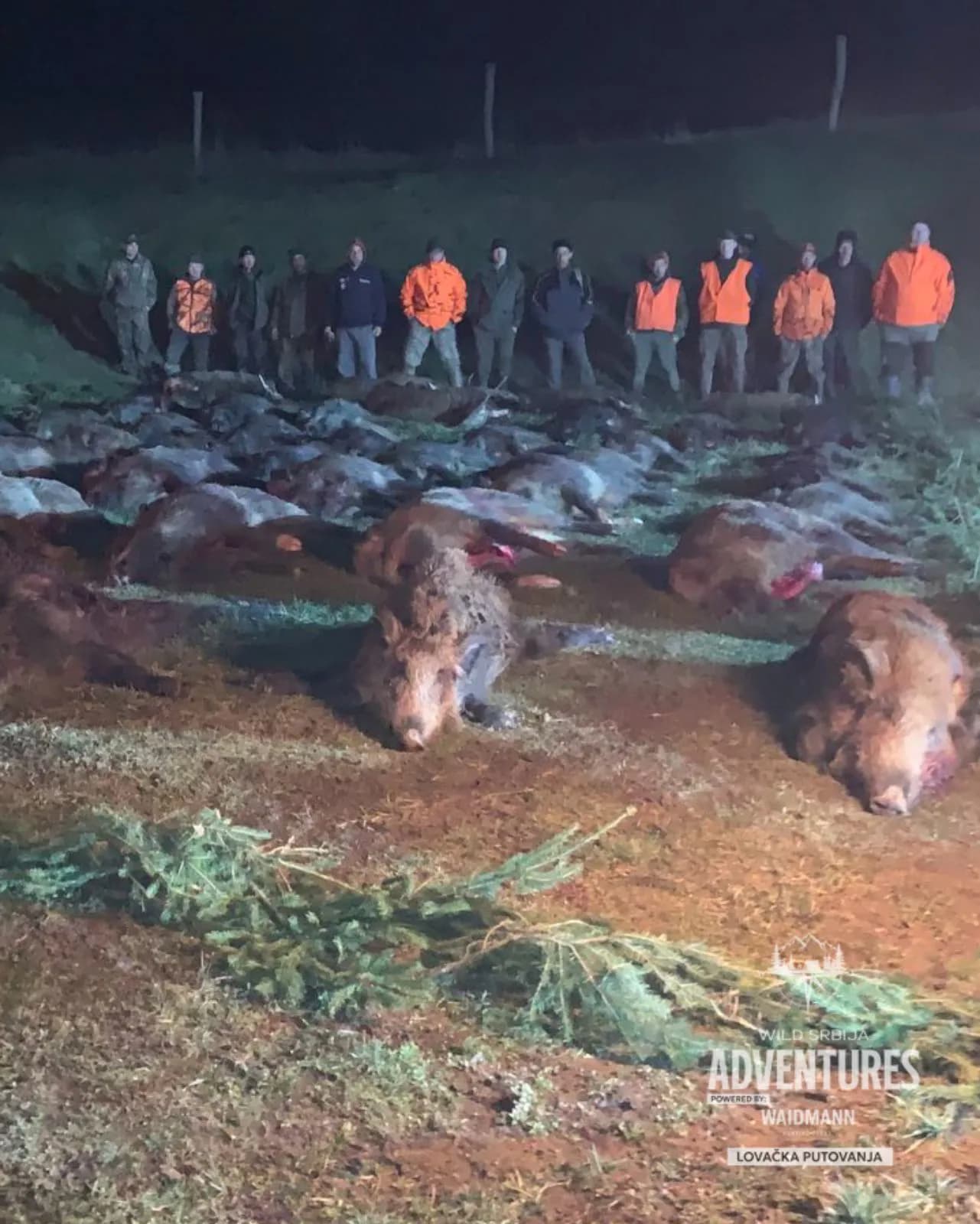 VIP Pogonski Lov na Divlje svinje - Zatvoreno lovište 2