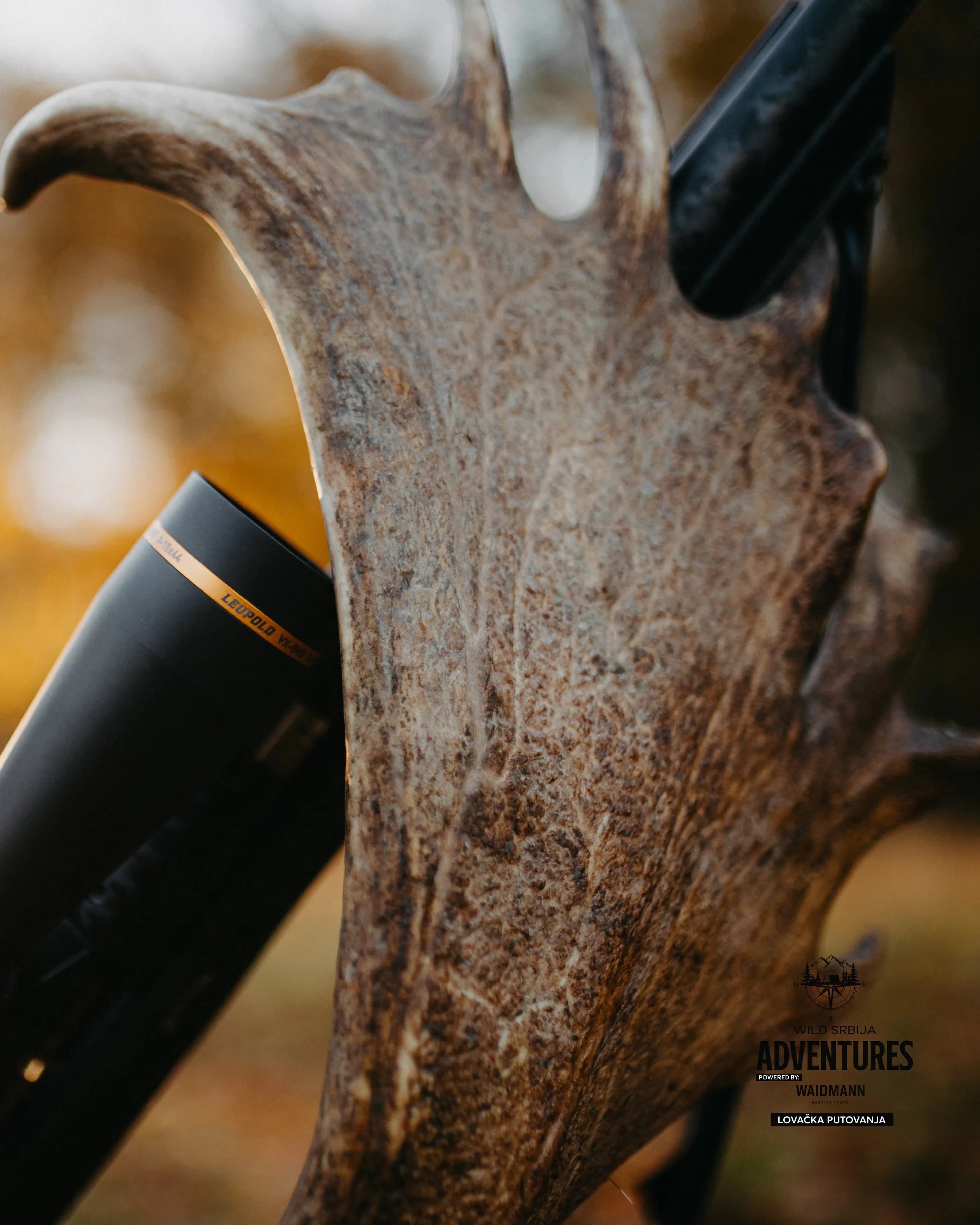 Lov jelena Lopatara do 3kg ALL Inclusive - Madjarska 2025 11