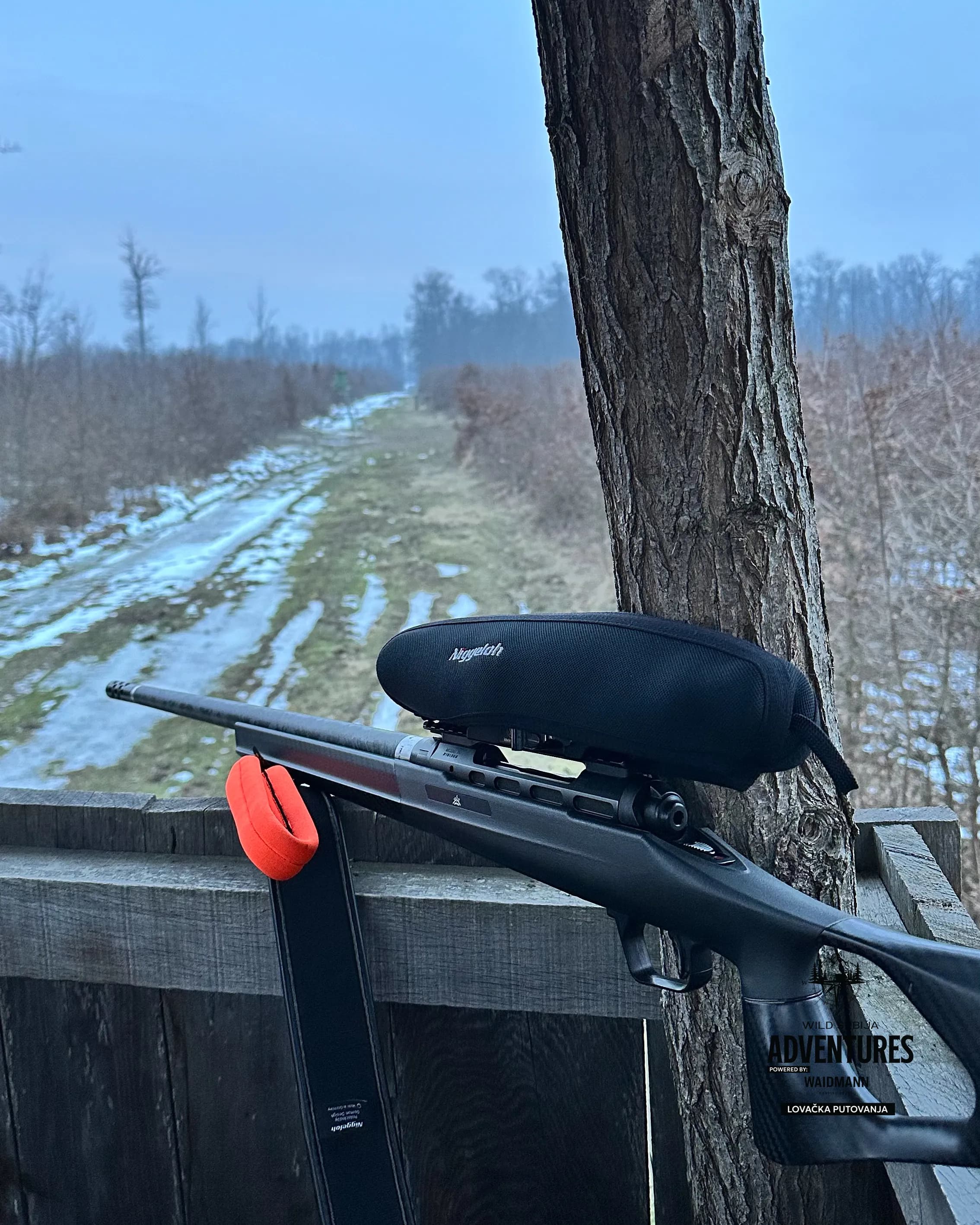 Lov Divljih svinja čekanjem - Hrvatska  3