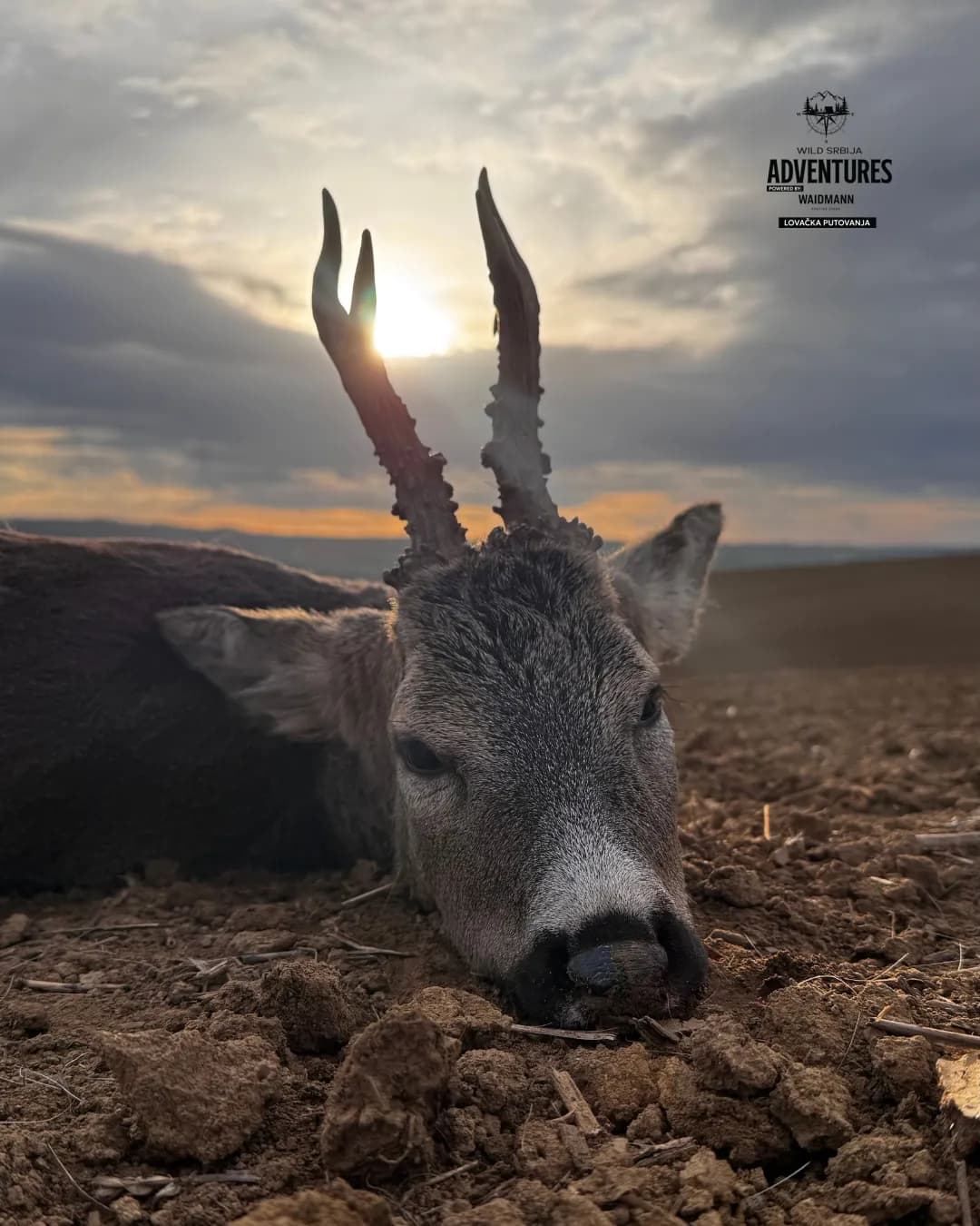 All Inclusive Lov Srndaća u Mađarskoj (no limit)