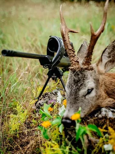 Wild Srbija TV - Lovačke epizode