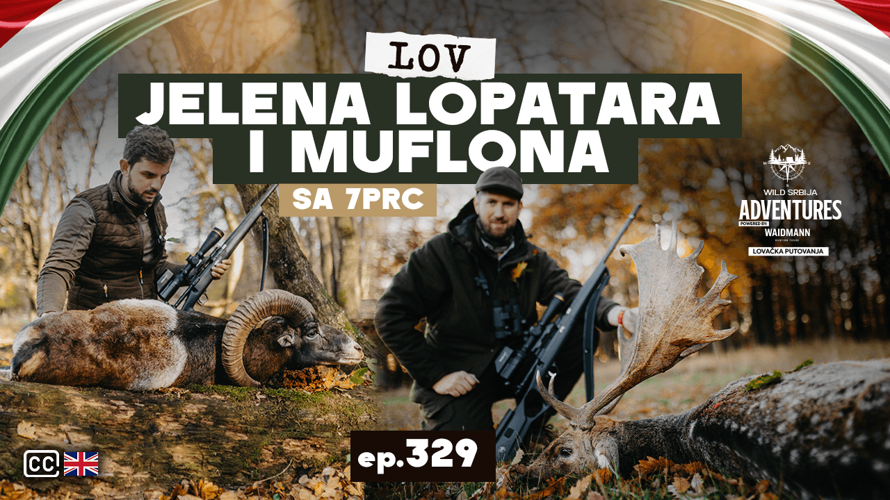 Lov Jelena Lopatara i Muflona sa 7PRC