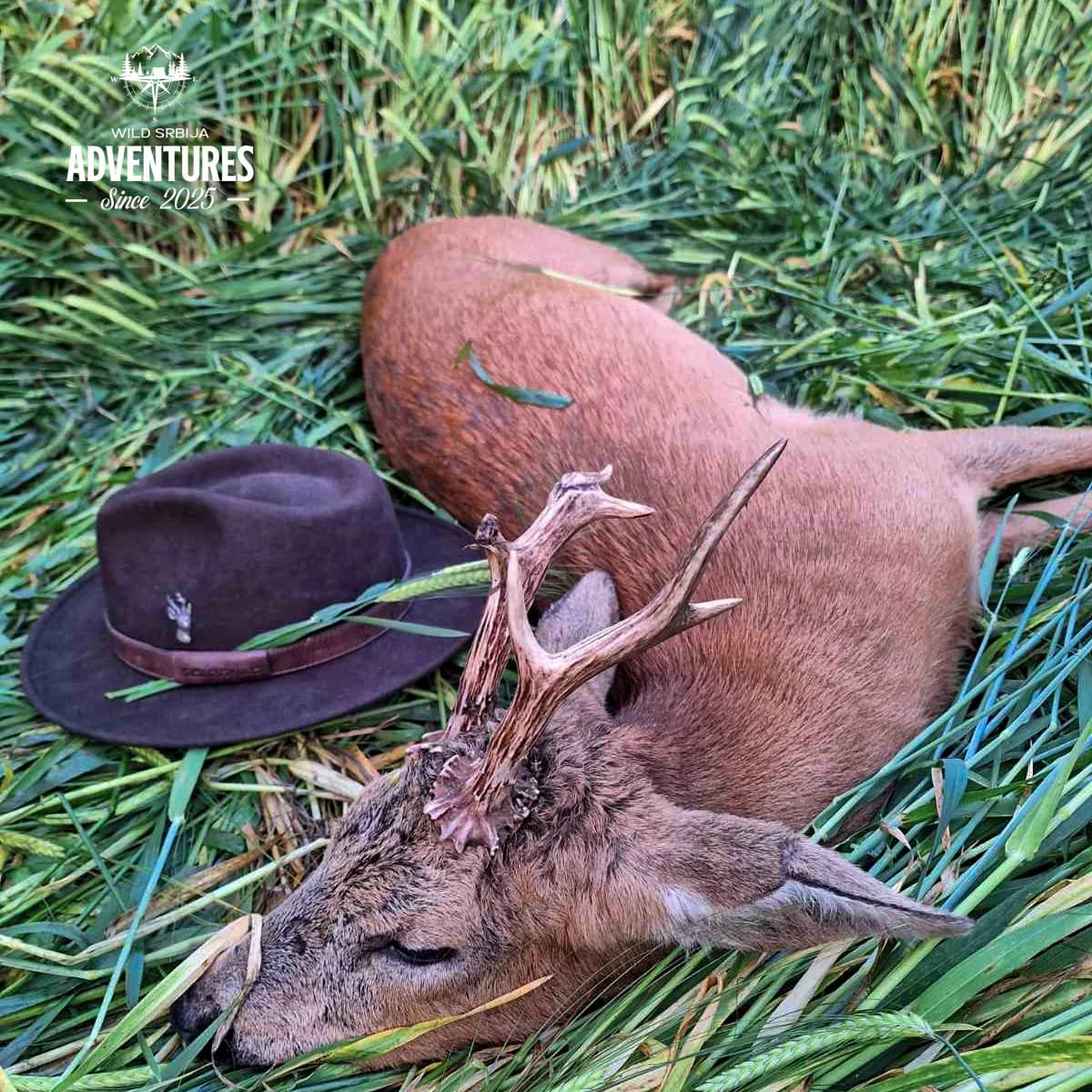 Lov Srndaća u Vojvodini - 1 lovni dan (1:1) - 2026/27 3