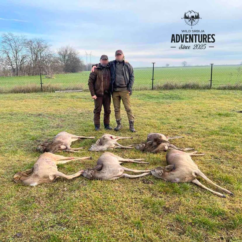 Lov na srne i divlje svinje - Mađarska (Novembar)