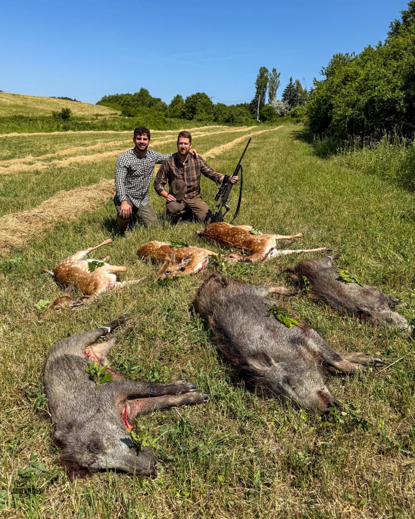Selektivni Lov Jelenske i Crne divljači - Madjarska