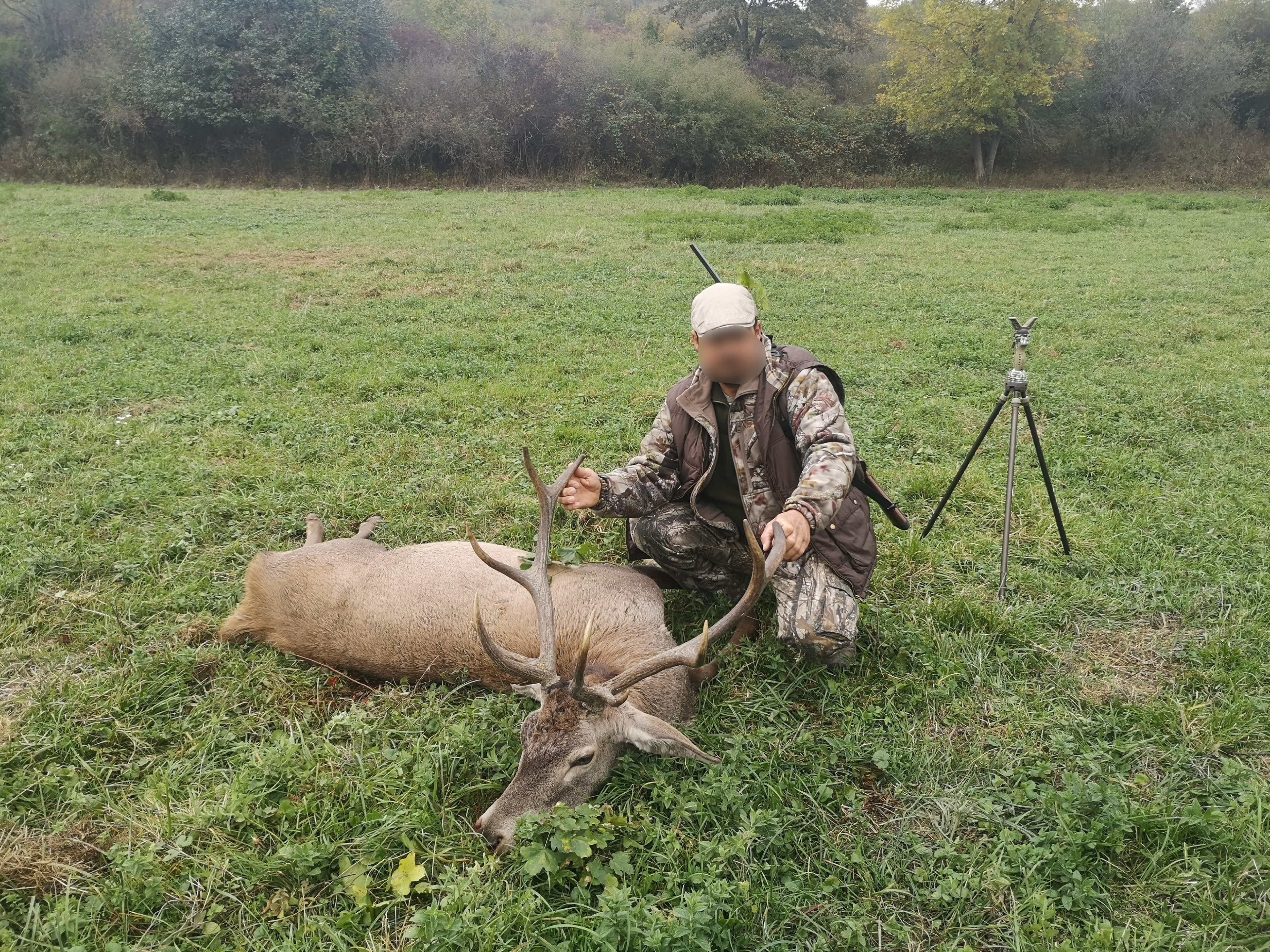 Evropski Jelen 3-6 kg + 3 košute 2