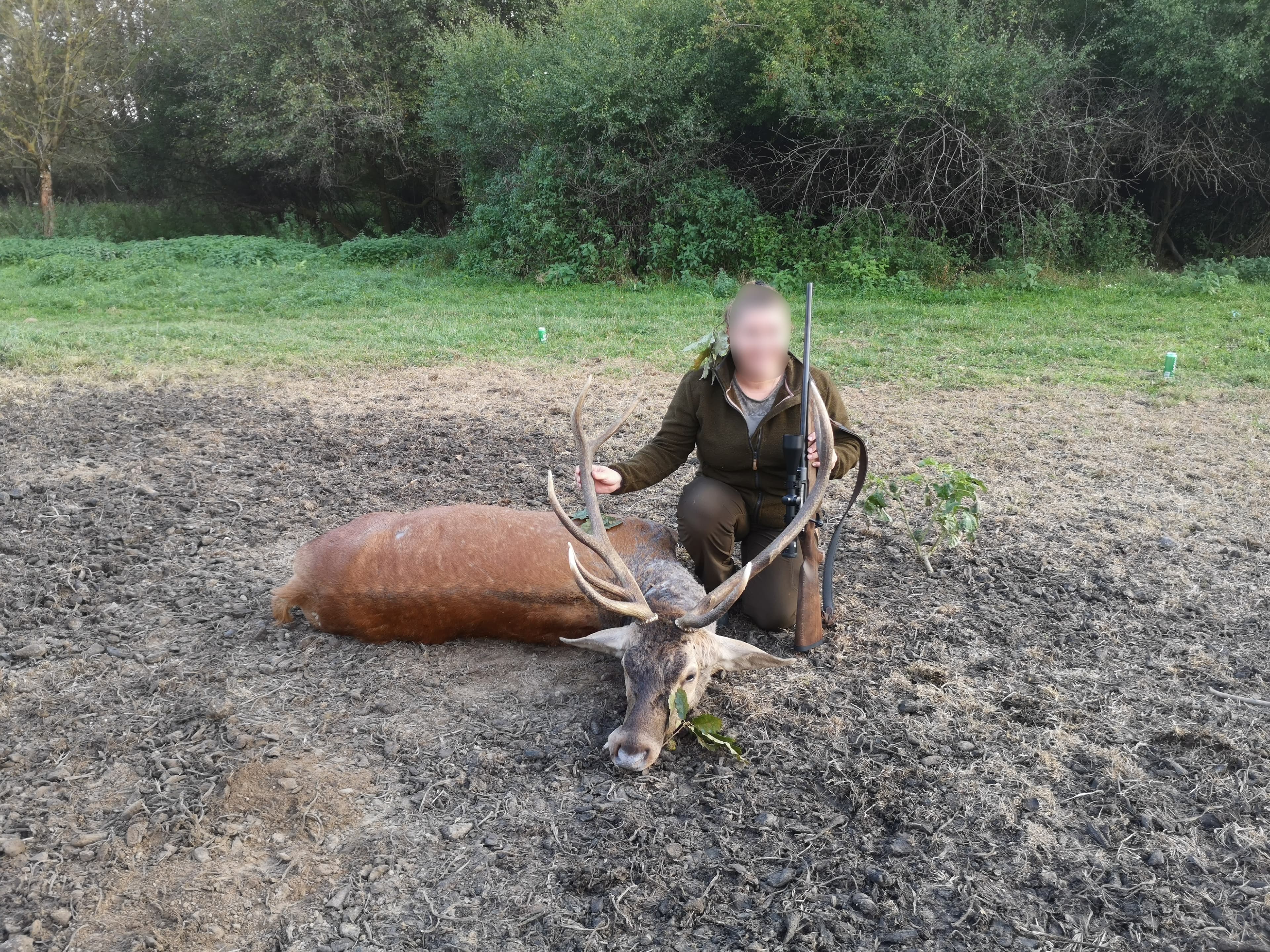 Evropski Jelen 3-6 kg + 3 košute 3